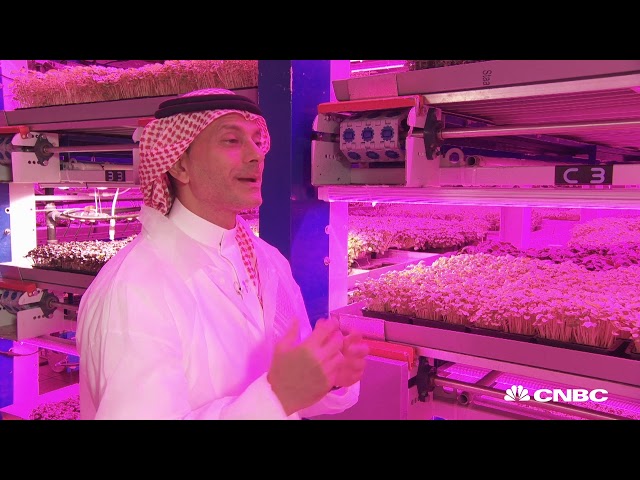 Inside the futuristic indoor farm that could revolutionize agriculture in the UAE | The Edge