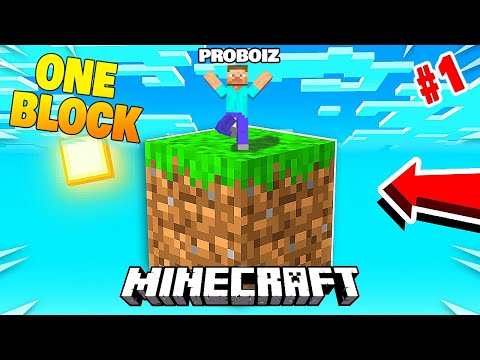 STARTING A NEW MINECRAFT ONE BLOCK SURVIVAL #1