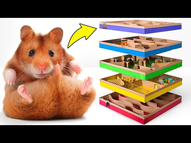 Super tolles 5-Level-DIY-Labyrinth für aktive Hamster 🐹