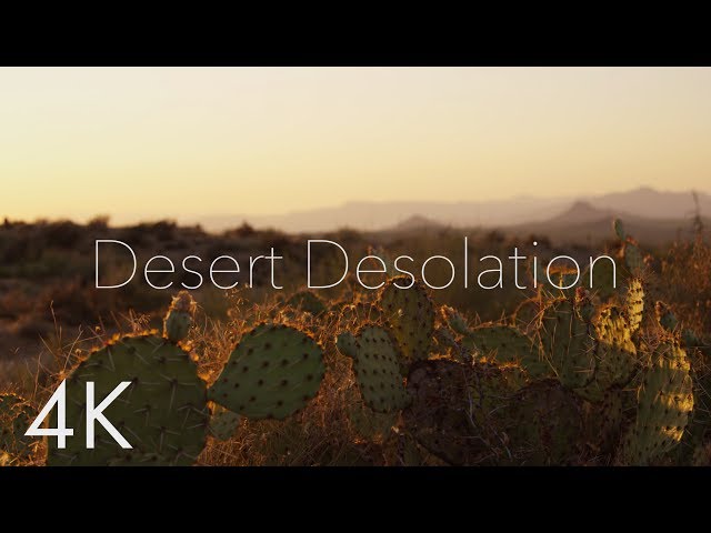 Desert Desolation - RED Raven 4K