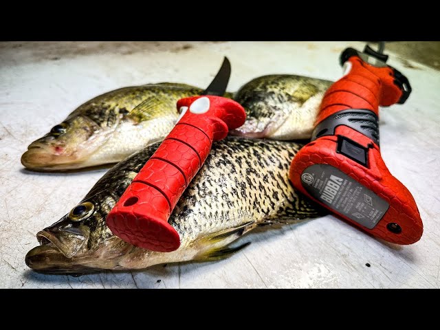 3 Ways to Fillet a Crappie That Every Panfish Angler Should Know!