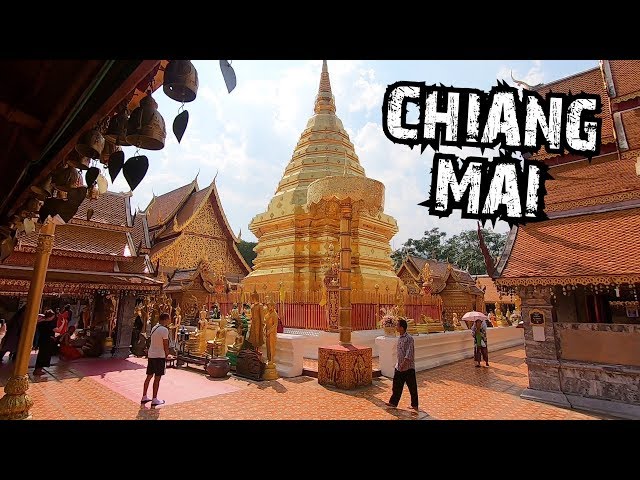 CHIANG MAI TOUR - TEMPLES & NATURE (THAILAND VLOG)
