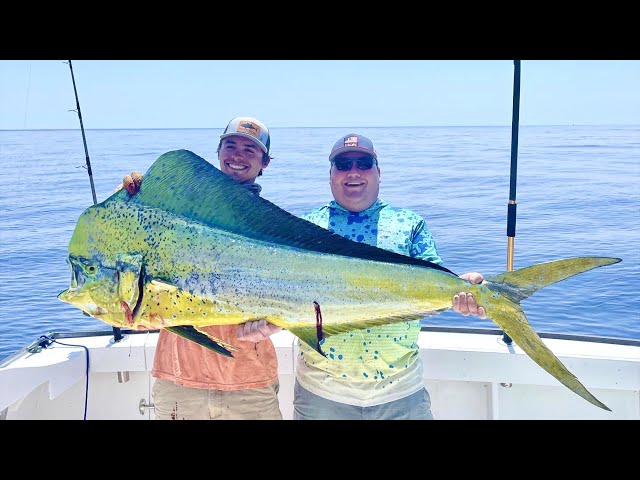 GIANT Mahi On A Spinning Rod (Oregon Inlet Offshore)