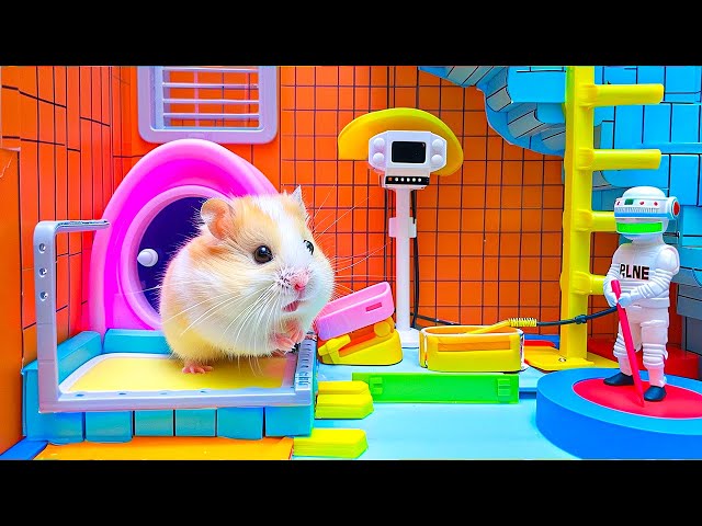 Outsmarting the Flames  Hamster and Maze Escape Journey 🐹 Maze for Hamster
