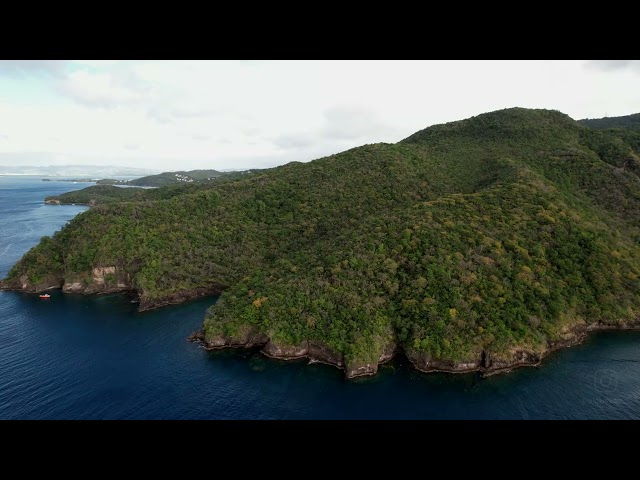 📍 Best Beaches🌴Caribbean Martinique -  Anse Defour & Anse Noire 🎵 Deep House - Drone 4K