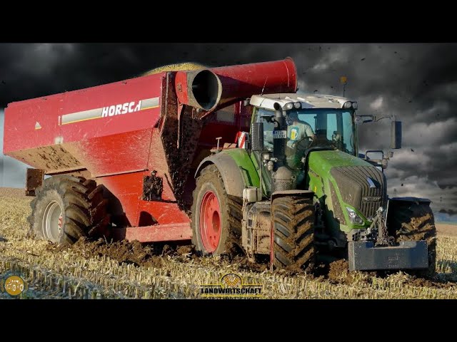 FENDT Traktoren versinken im Schlamm | Schlammschlacht | Körnermais ernten, Mulchen & Pflügen 2020