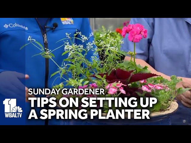 Helpful tips for using planters in your garden