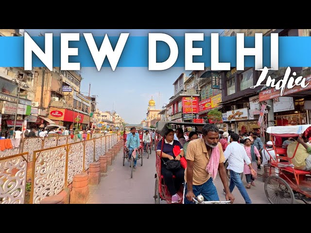 New Delhi India Travel Guide: Best Things To Do in Delhi