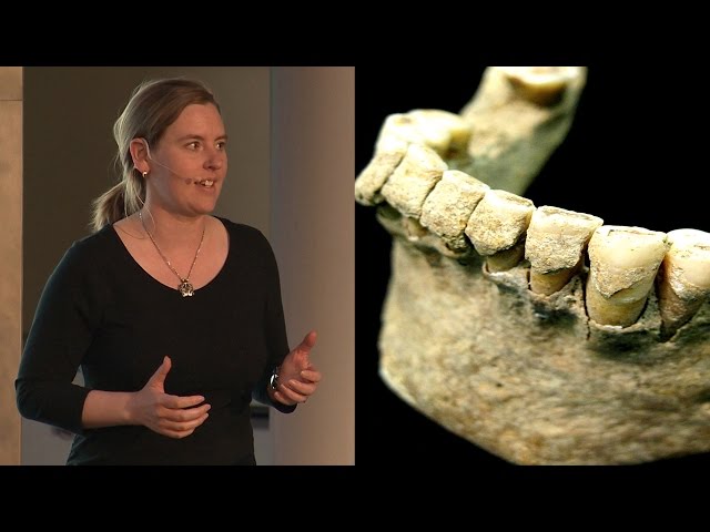 How "Paleo" is Your Diet? - AMNH SciCafe