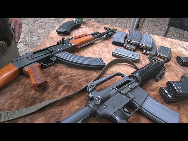 AK  vs  M16    Which would I choose??