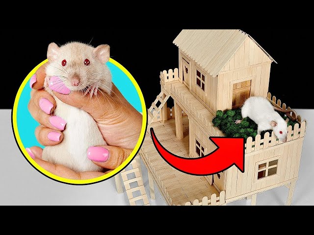 Wie du ein Eisstiel Haus für deine Ratte baust