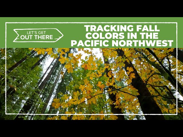Tracking fall colors in the Northwest