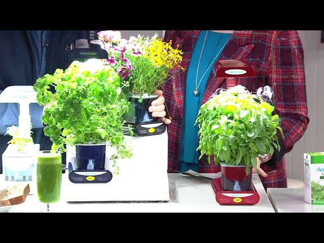 Miracle-Gro AeroGarden Sprout 3-Pod Garden with Herb Seed Kit on QVC