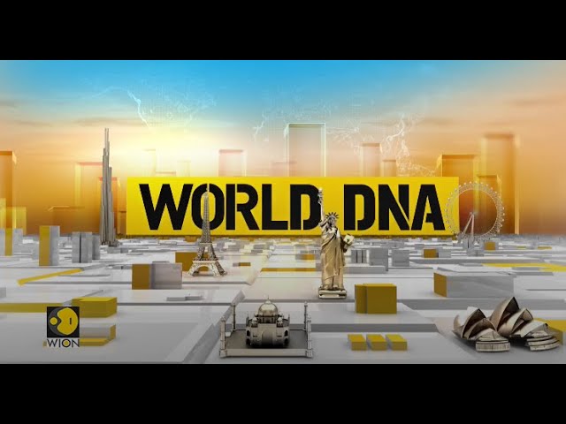 WION LIVE News | World Latest English News | International News  | WION World DNA LIVE