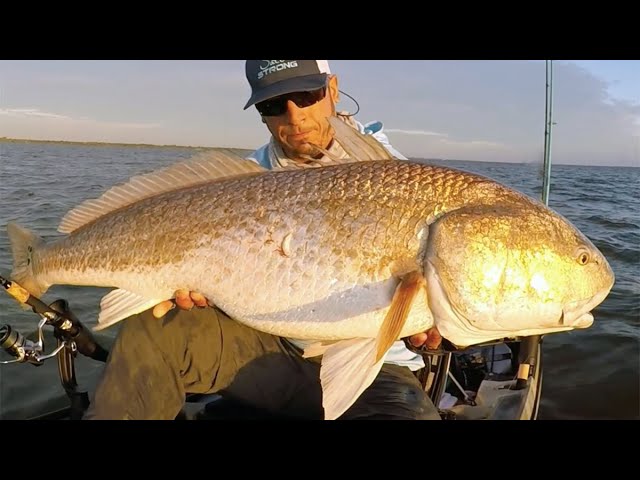 3 Tips For Catching Bull Redfish On Artificial Lures