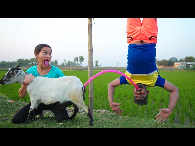 Very Special Must Watch New Funny Comedy Video 2024,Amazing Comedy Video 2024 Ep-260 By#myfamily