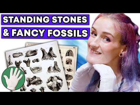 Standing Stones & Fancy Fossils - Objectivity 258