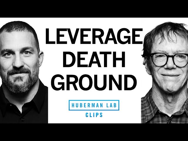 The Importance of Urgency & Leveraging "Death Ground" | Robert Greene & Dr. Andrew Huberman