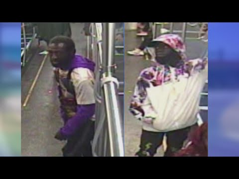 Police seek to identify 2 suspects who robbed, assaulted elderly man on CTA Red Line