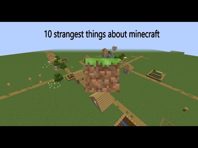 Top 12 strangest things about Minecraft