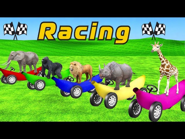 Animals Banana Car Race Wild Animals Animation Cartoons For Kids | Funny Animals  Car Race Game