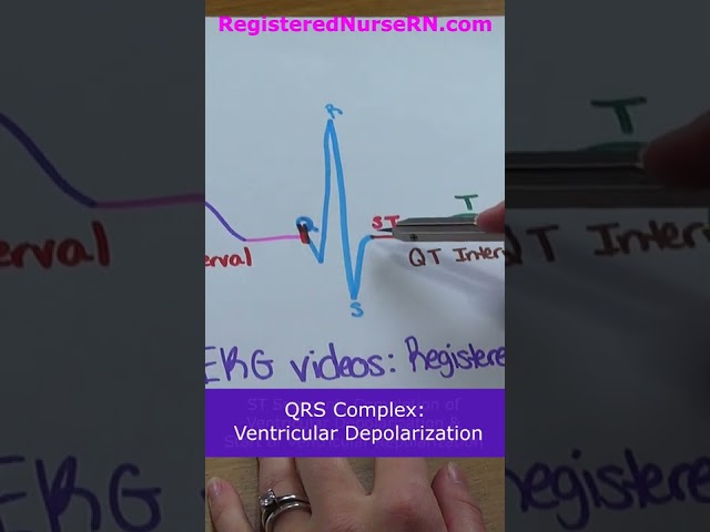 ECG / EKG Waveform Parts Explained in Less Than 1 Minute (PQRST Complex) #shorts