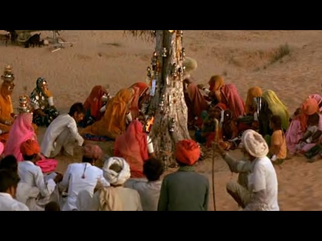 Gypsies of Rajasthan Kalbelia Tribe 🇮🇳 INDIA