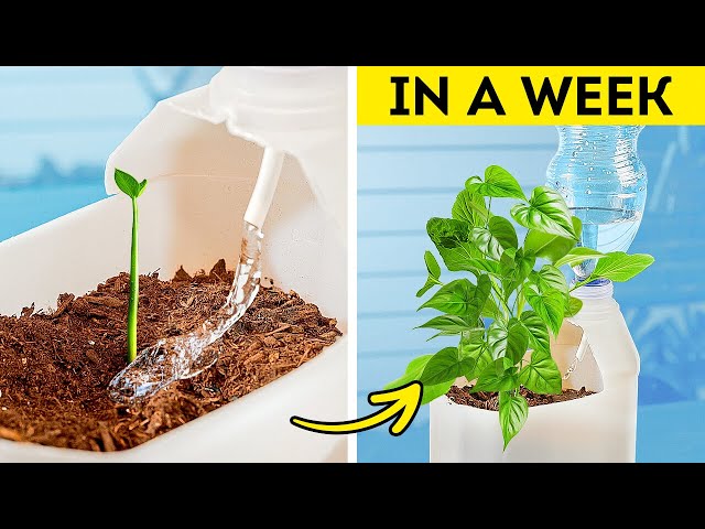 Gardening Hacks: 101 Genius Ideas for Plant Lovers ☘️