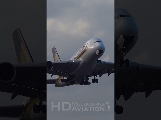 SUPER LOUD Singapore Airlines Airbus A380 Takeoff at Melbourne Airport #shorts
