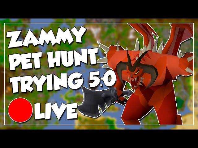 [🔴LIVE] Zammy Red X Teaching & Pet Hunt