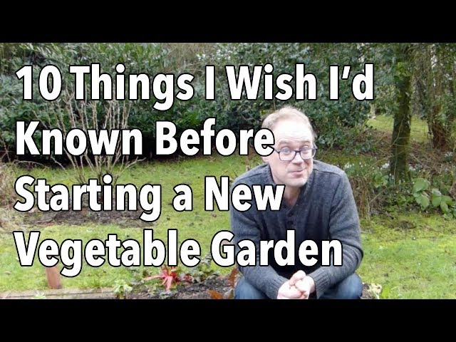 10 Things I Wish I’d Known Before Starting a New Vegetable Garden