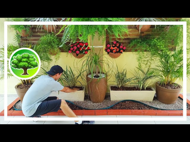 💚 DIY - POTTED GARDEN FOR SHADE PLANTS