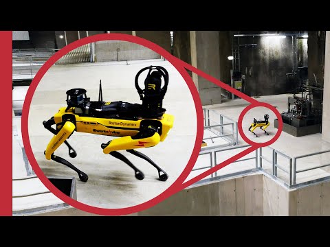 An actual, real-world use for robot dogs