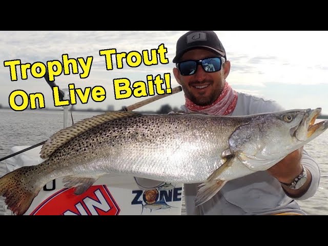 How To Catch Big Trout On Live Bait (With Capt. Peter Deeks)