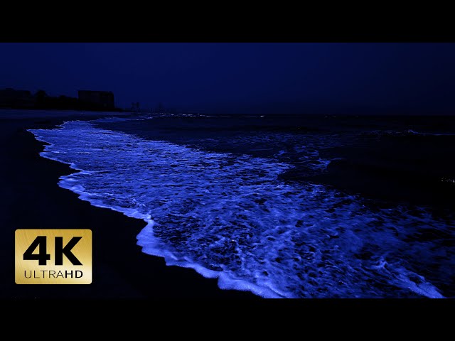 Ocean Sounds For Deep Sleeping 4K | Eliminate Insomnia With Bigs Waves and Wind Sounds At Night