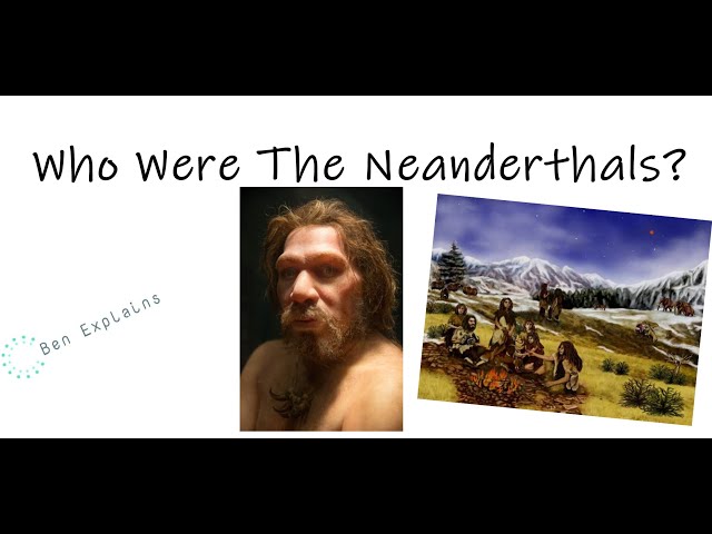 Who Were The Neanderthals?