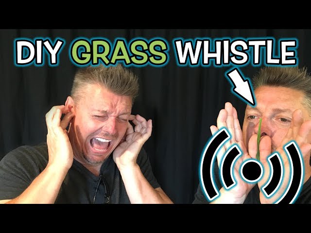 How to Make Grass Noisemaker - DIY Whistle!