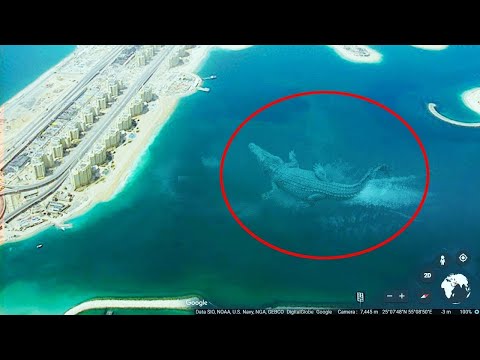 10 Mysterious Deep Sea Creatures Spotted On Google Earth