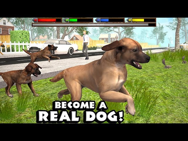 Ultimate Dog Simulator (by Gluten Free Games) - Part 1 - Android Gameplay [HD]
