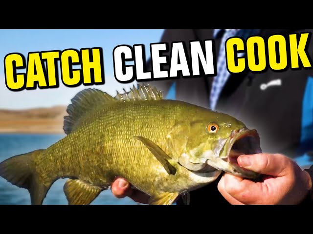 Smallmouth Bass CATCH, Clean, COOK