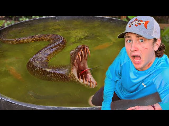 I Discovered a Monster in My Pond!