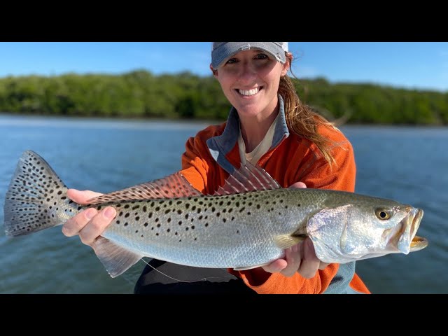 How To Catch Redfish & Trout After A Cold Front (Spots, Lures, Misconceptions)