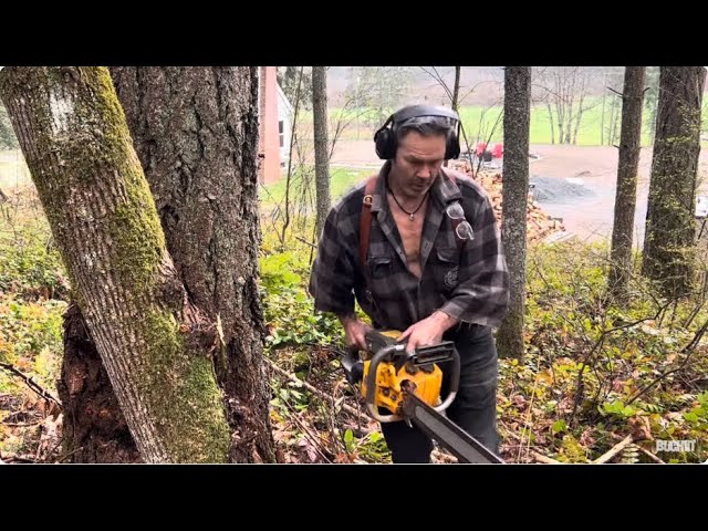 Working the land with Poulan 455 boost Port chainsaw