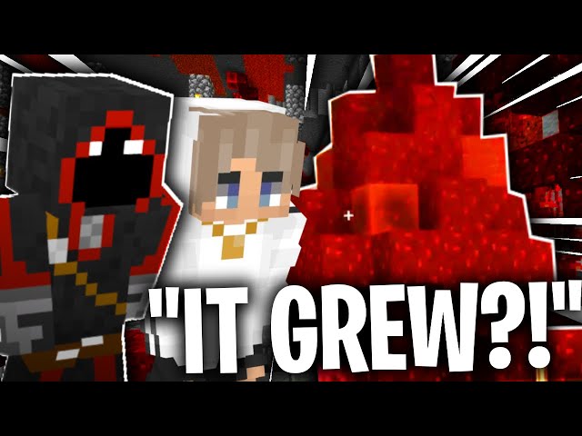 BadBoyHalos OPENS HIS EGG AND IT GROWS on DREAM SMP!