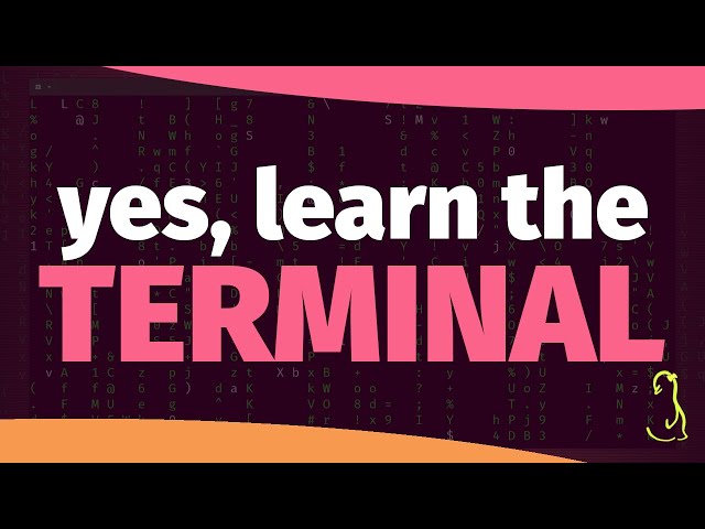 Is the terminal still worth learning?