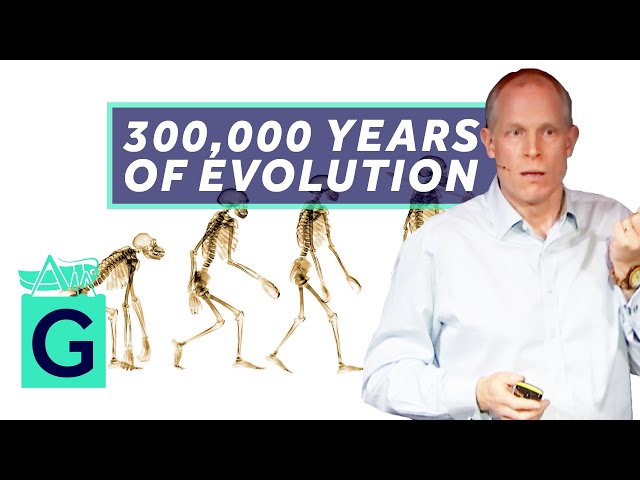 A 300,000-Year History of Human Evolution - Robin May