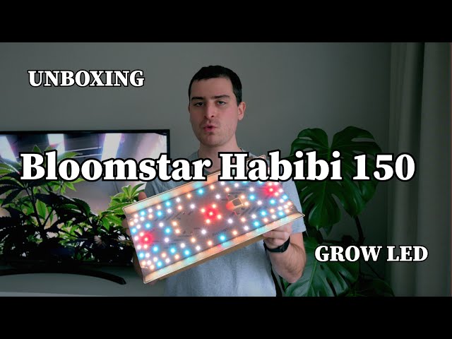 MEINE NEUE GROW-LED?! - Bloomstar FluxShield Habibi 150 50w - UNBOXING & ERSTER EINDRUCK