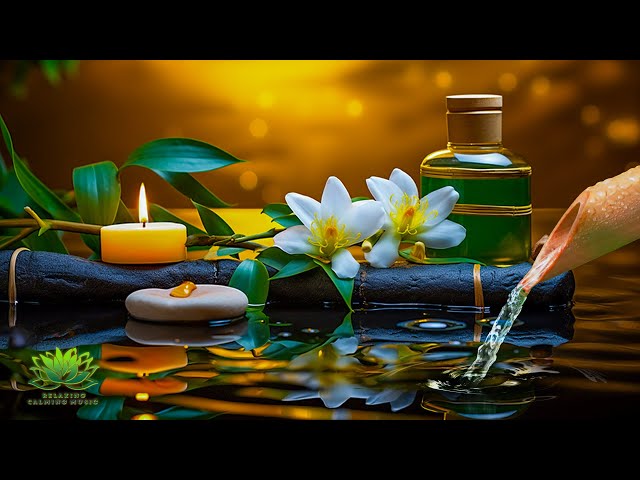 Relaxing Zen Music to Heal all Pains of the Body, Yoga, Gentle Music Calming Spa the Nervous System