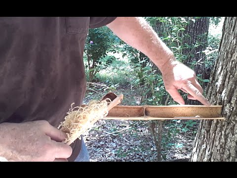 Friction Fire 4 Ways... Fire Roll, Hand Drill, Bow Drill, and Bamboo Fire Saw