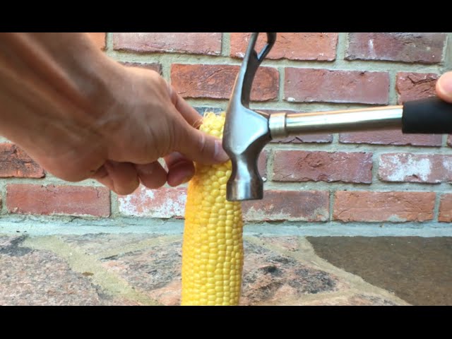 Corn on the Cob - You Suck at Cooking (episode 45)
